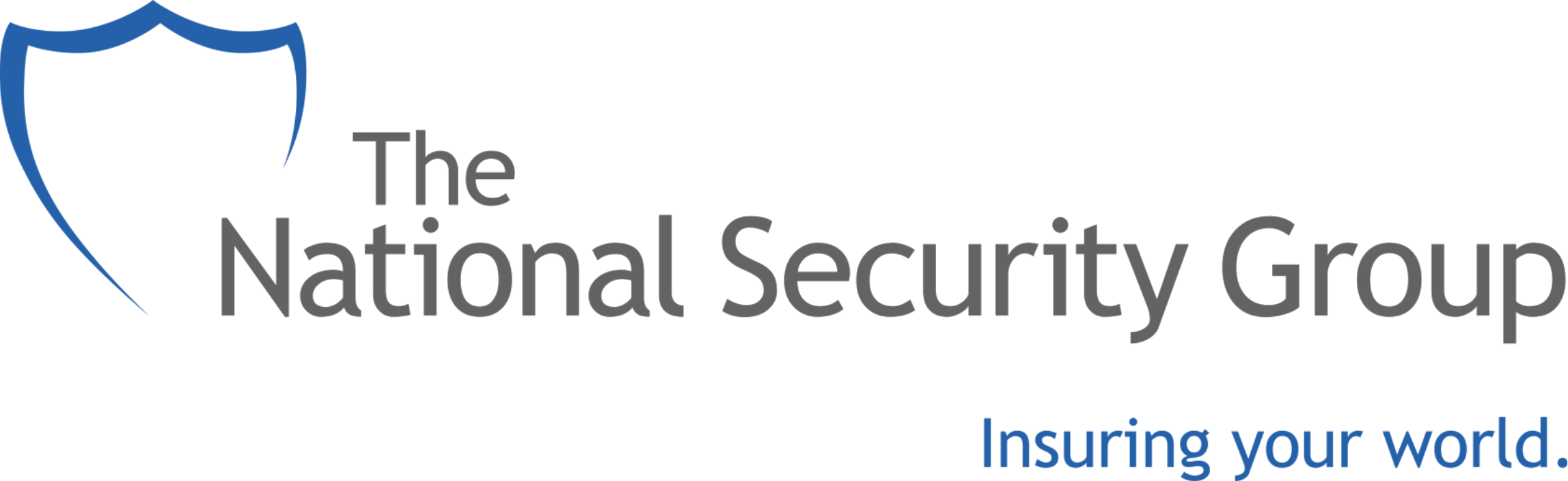 The National Security (Bronze).png