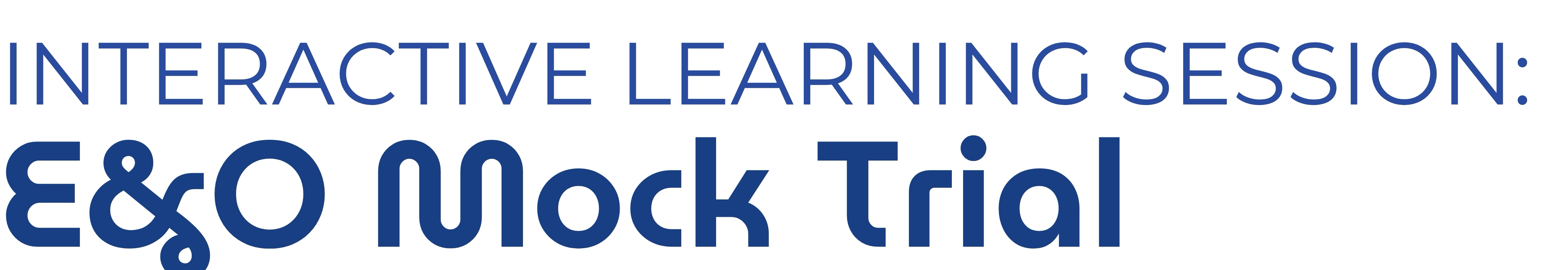 Interactive Learning Session E&O Mock Trial.jpg